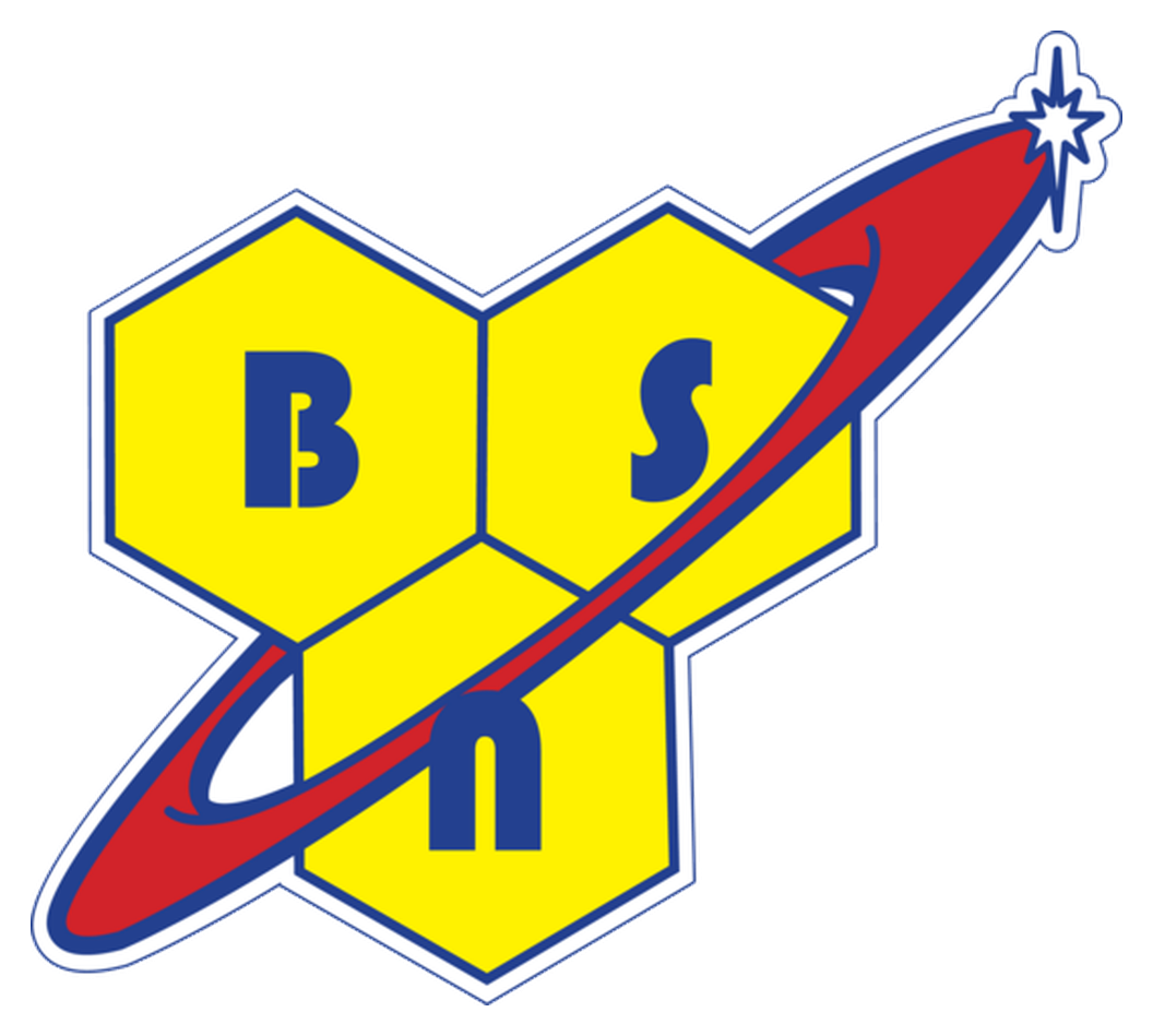 BSN logo